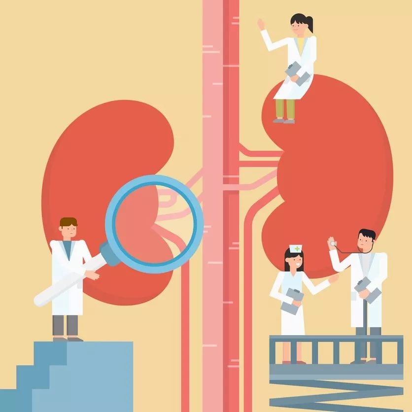 肾移植抗排斥药物有哪些,肾移植体液排斥与细胞排斥的区别