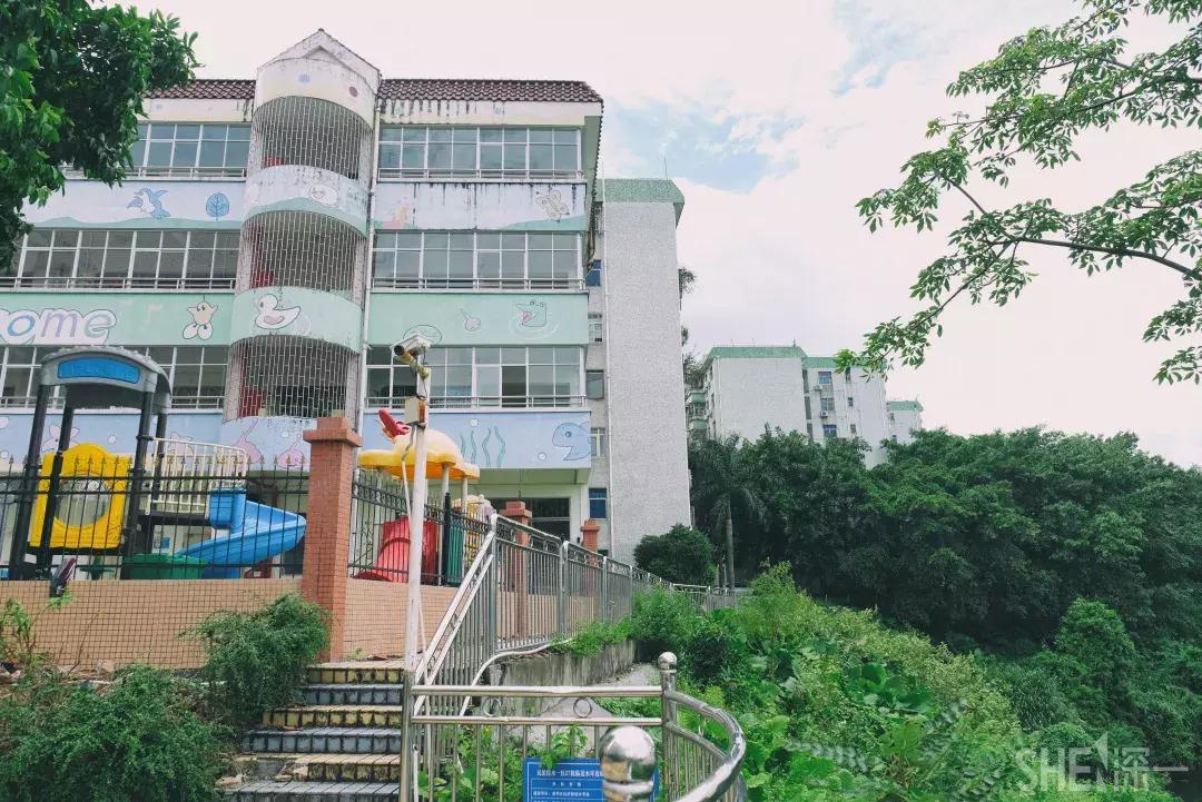 深圳市美美美,深圳最美免费水库