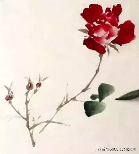 国画技法月季花写意画法详解,中国画写意月季花的详细画法