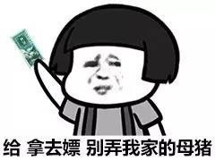 小姐姐在干嘛呢斗图,斗图小妹妹