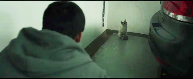 女友离奇消失的电影,消失的女友电影超清片段