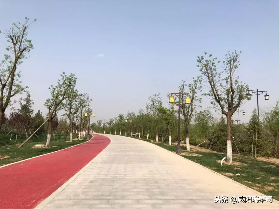 高新锦业壹号售罄,高新锦业壹号房子能买吗