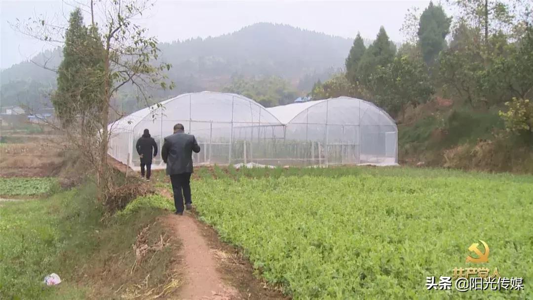 和新镇白腊村,和新镇书记