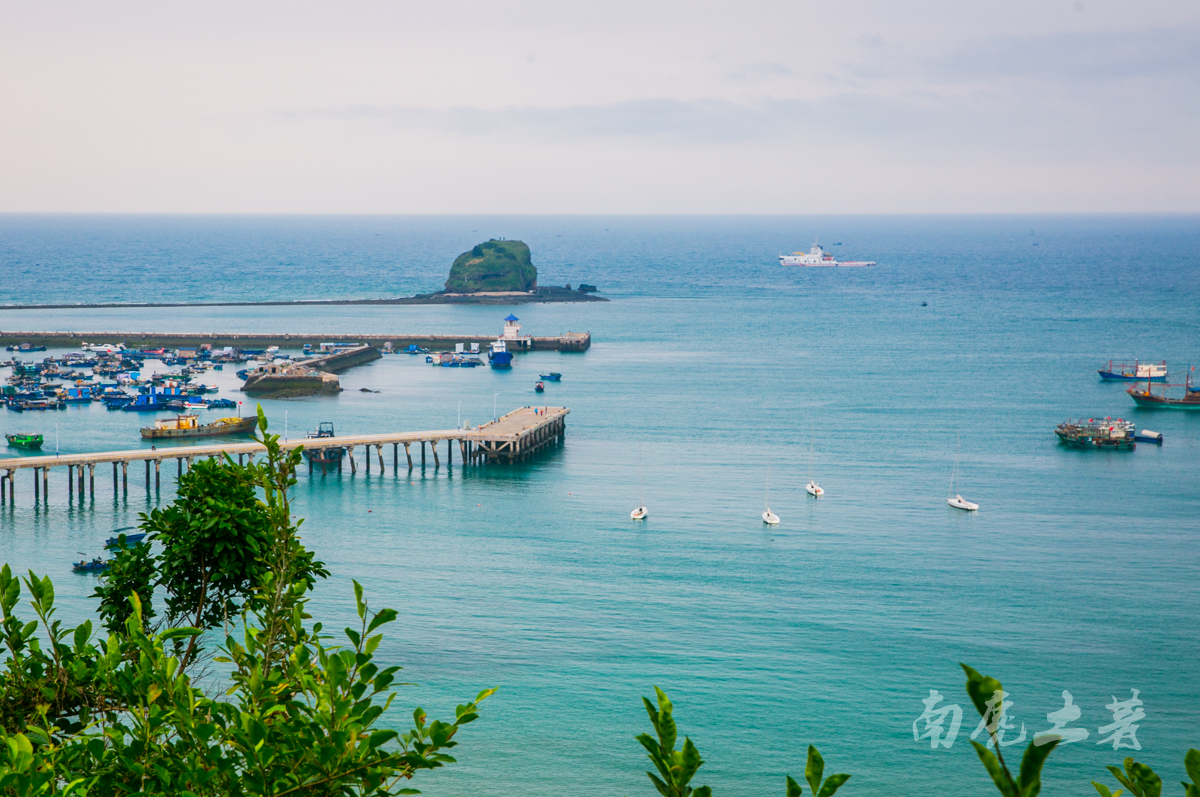 鎶栭煶缃戠孩椴搁奔,椴搁奔缃戠孩