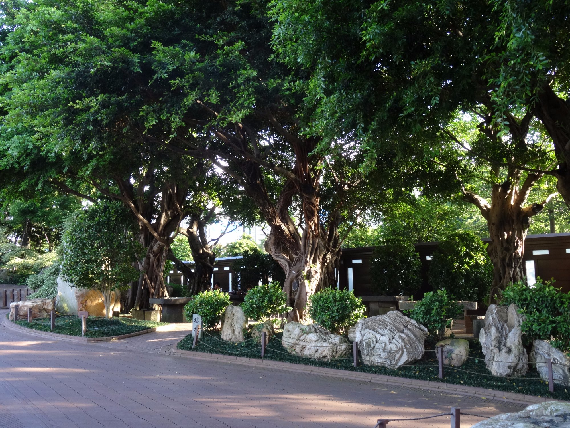 香港志莲净苑地图,香港志莲净苑好玩吗