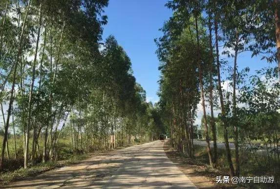 南宁农家乐排行榜适合小朋友,南宁周边农家乐景点推荐