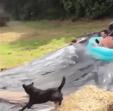 赌100袋辣条,赌十包辣条