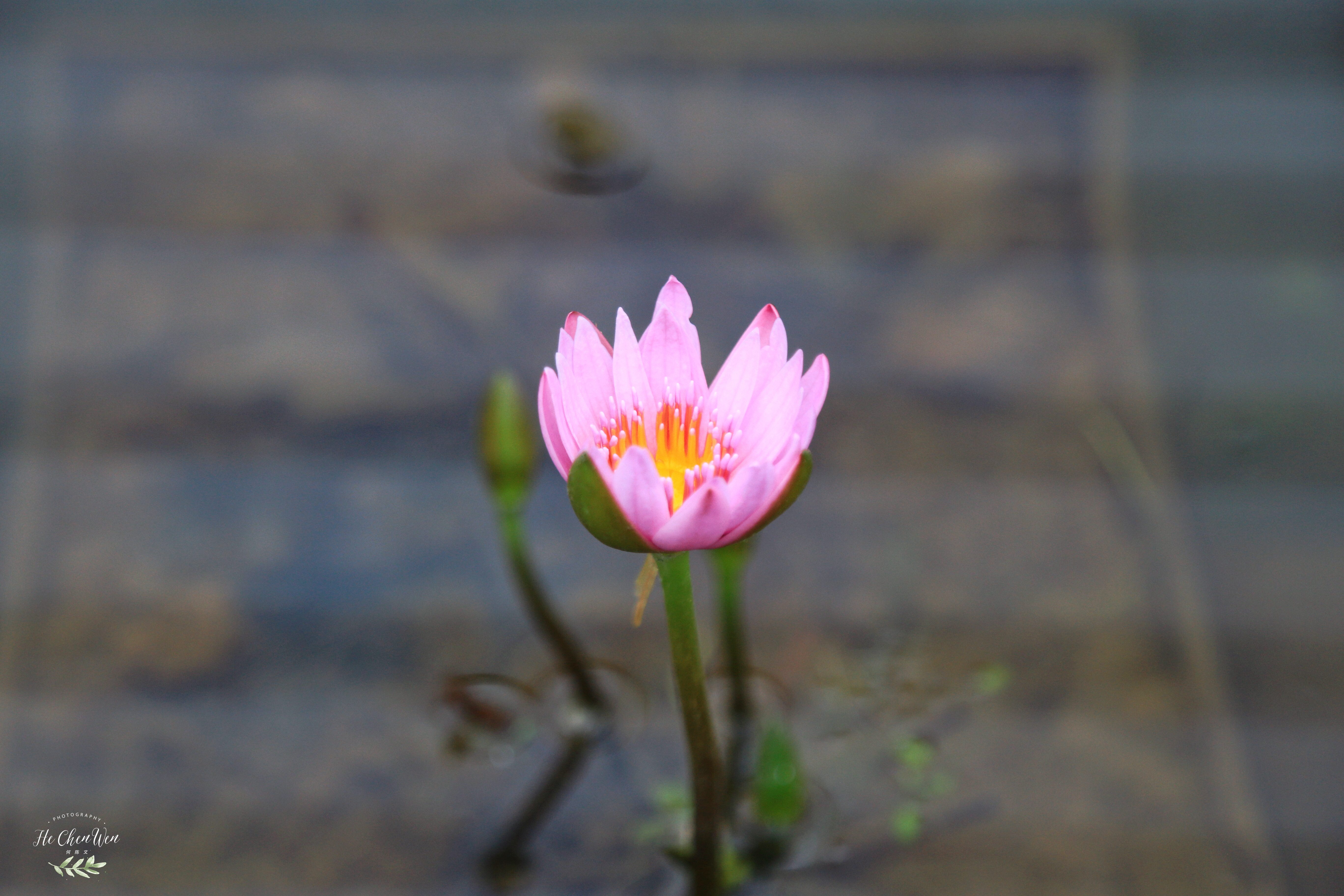 日本地狱温泉排名,日本最不可思议的温泉
