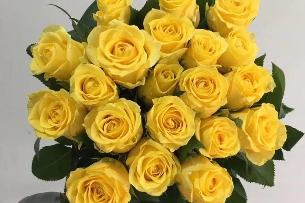 花店必备的5款玫瑰,花店常用的10款玫瑰花是哪些品种