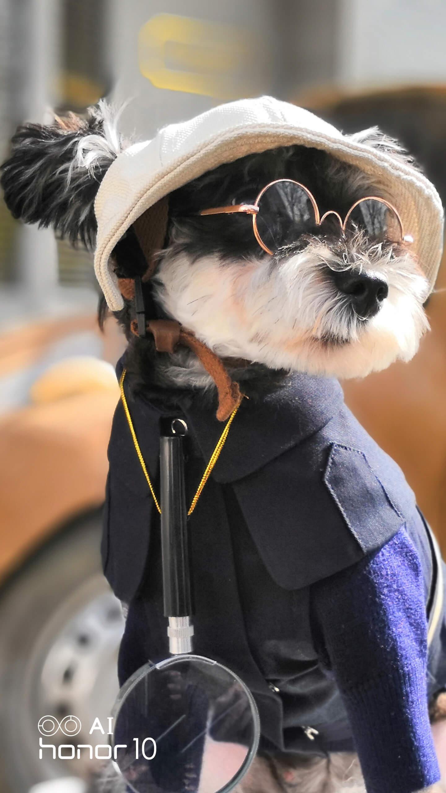 精美二次元壁纸高清,60张绝美壁纸超清