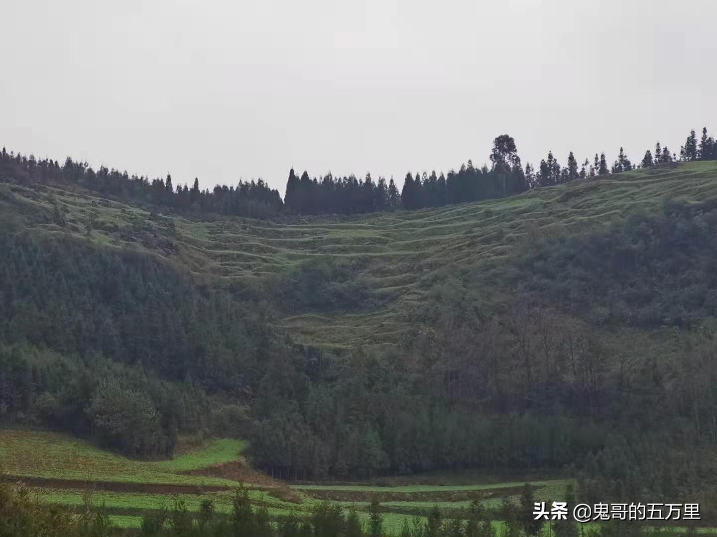 鬼哥的五万里D118骑记：云南，未来可期,泸西县-罗平县