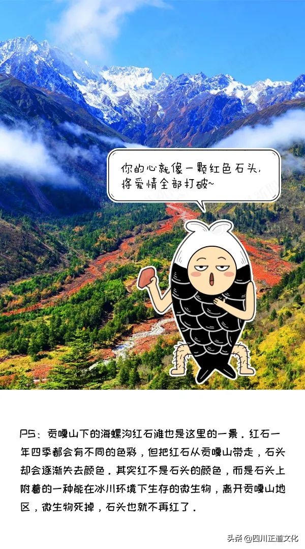 甘孜州5月最值得去的地方,甘孜州真的有必要去旅游一趟吗