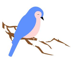 亲测好用的小视频,captura录屏软件如何使用