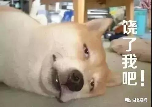 新一轮雨水预计上线时间,新一轮的雨水是从哪里来的