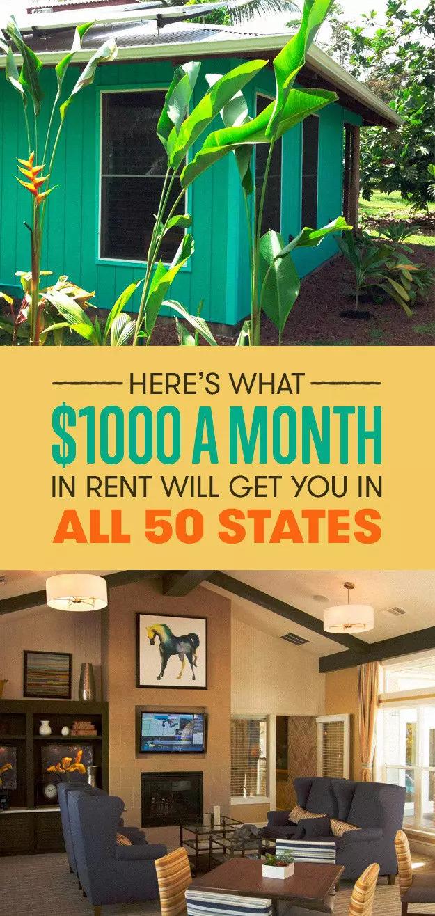 1000万美元在美国买房子,美国1000美元能租到什么样的房子