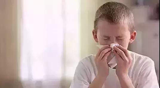 消除新房甲醛的是哪种盆景植物,吸附甲醛最好植物