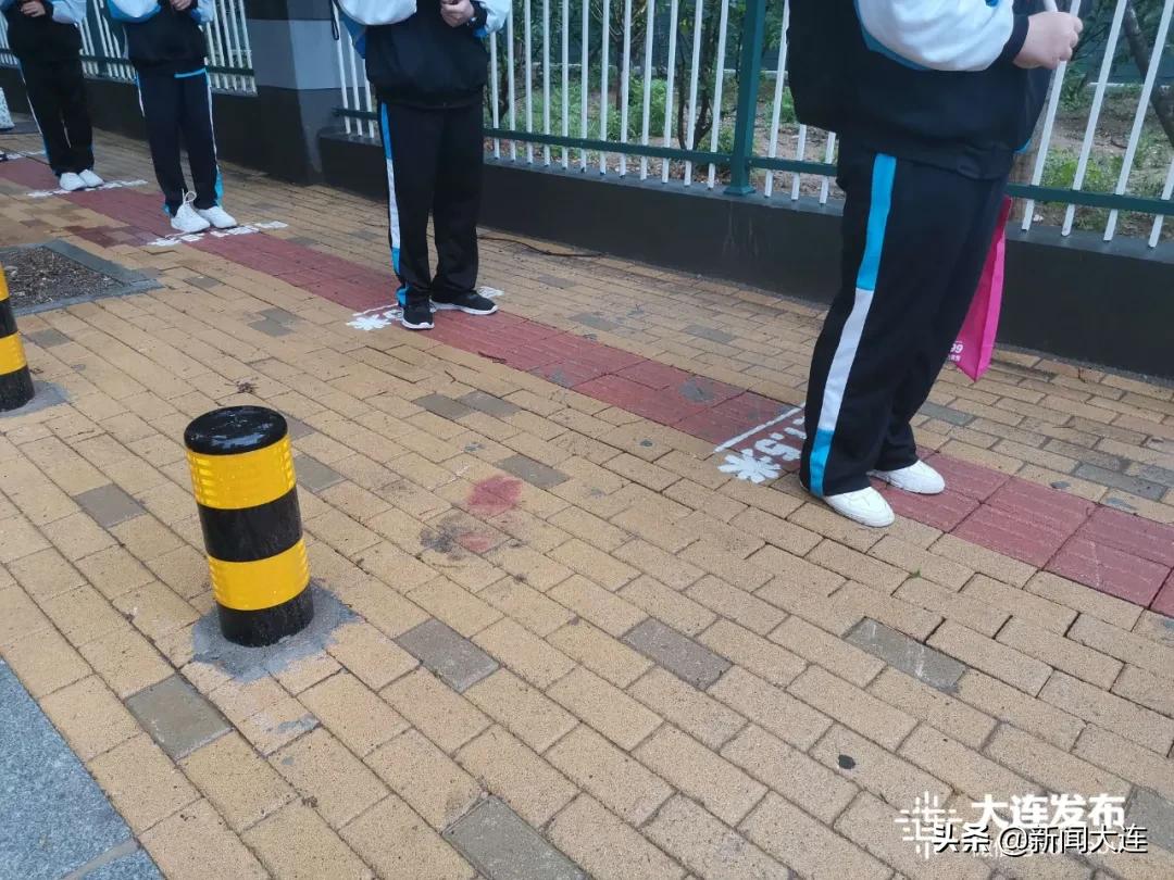 风雨中,“神兽”们返校了