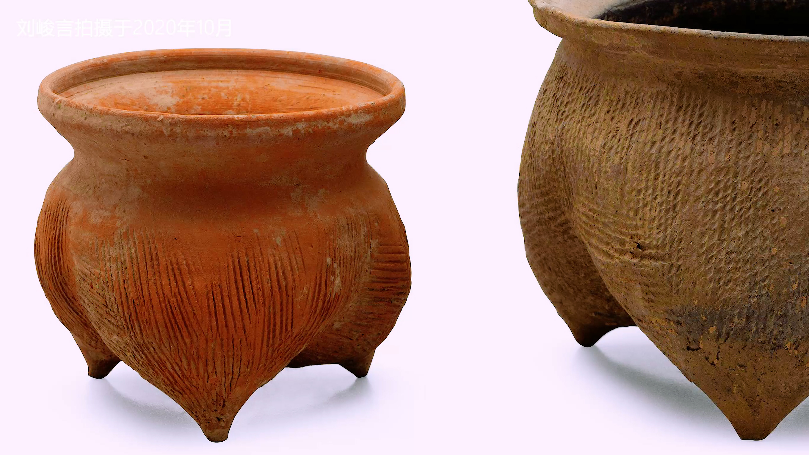 银川凤凰城的传说感想和收获,银川叫凤凰城的由来