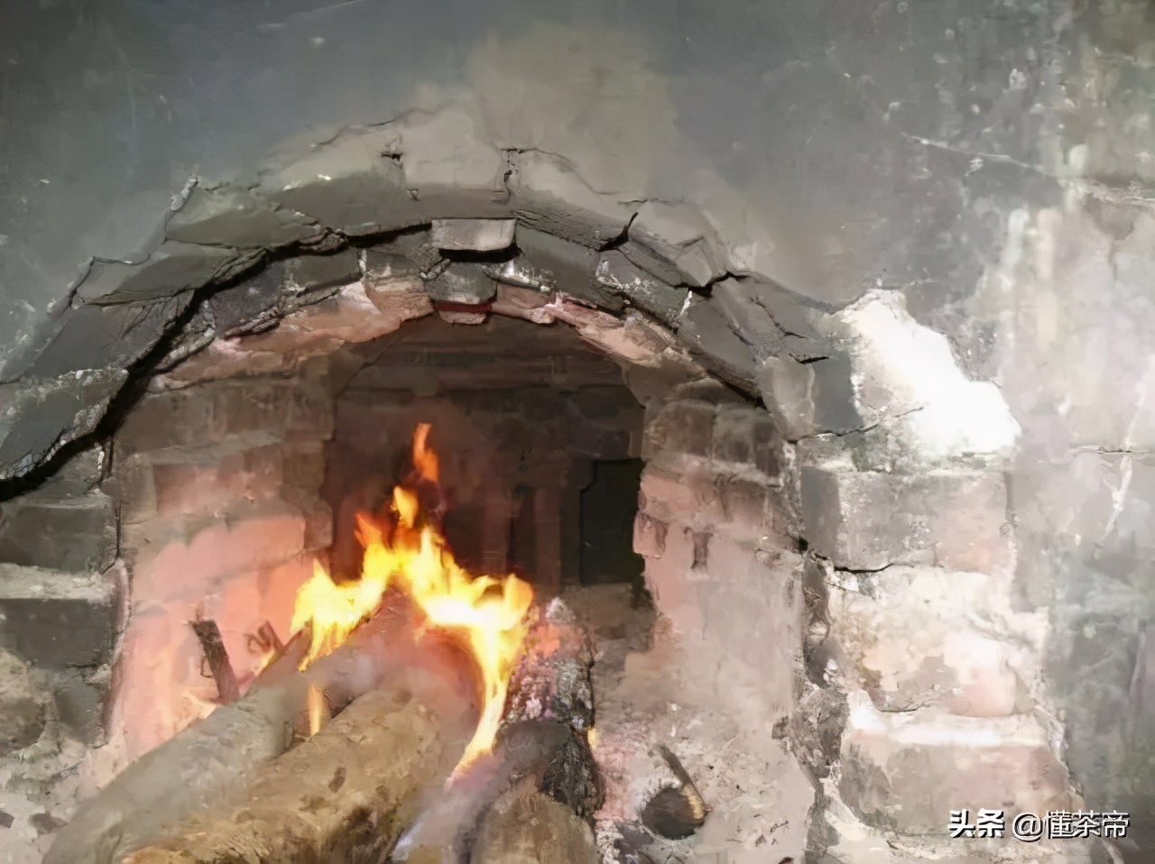 三种黑茶色,三种黑茶