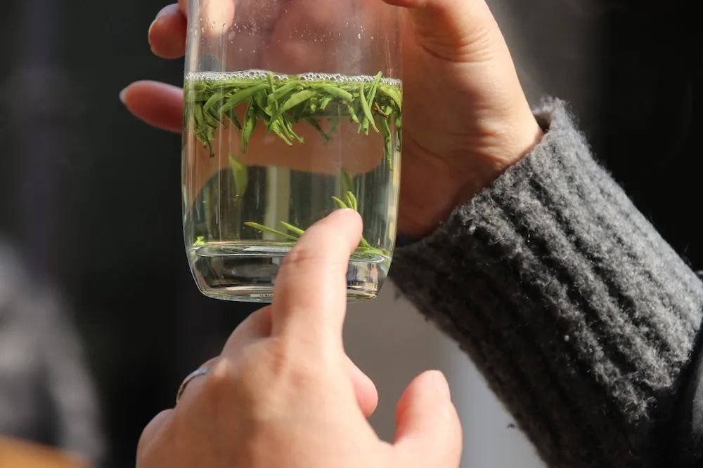 早上6点，去蒙顶山买茶是一种什么体验？