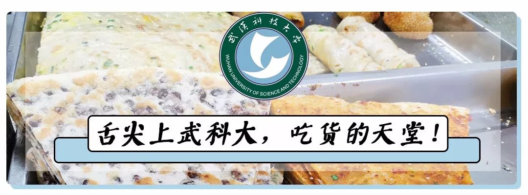 武汉科技大学名校,武汉科技大学推荐