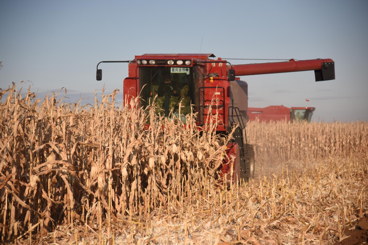 垄断中国90%粮食种子市场！美国若发动粮食战争，我们还有饭吃吗