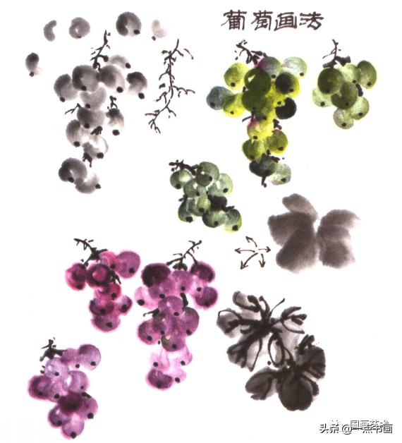 写意蔬果怎么画火龙果,100种写意蔬果画法