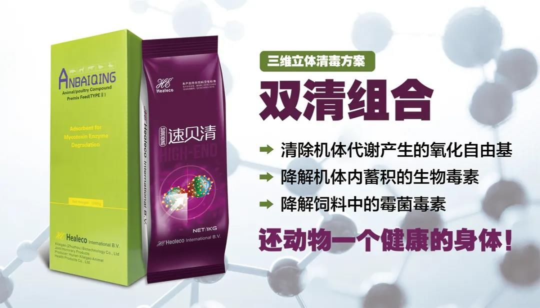 动物体内如何消除毒素,动物体内如何消除自由基