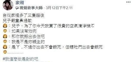 养猫后儿子鼻过敏，妈妈心生一计：不如你搬出去住吧！