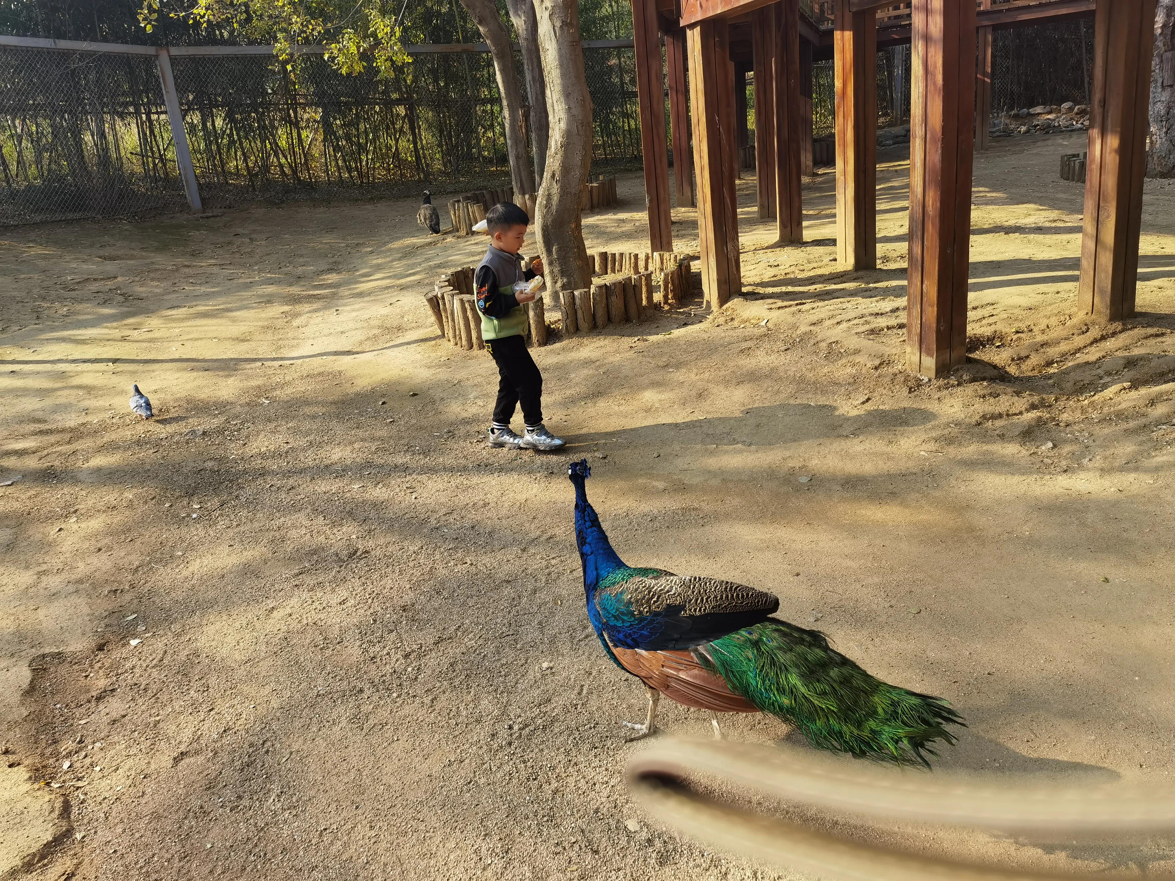 青岛美景黄岛篇：两天一晚旅游度假绝对值得推荐