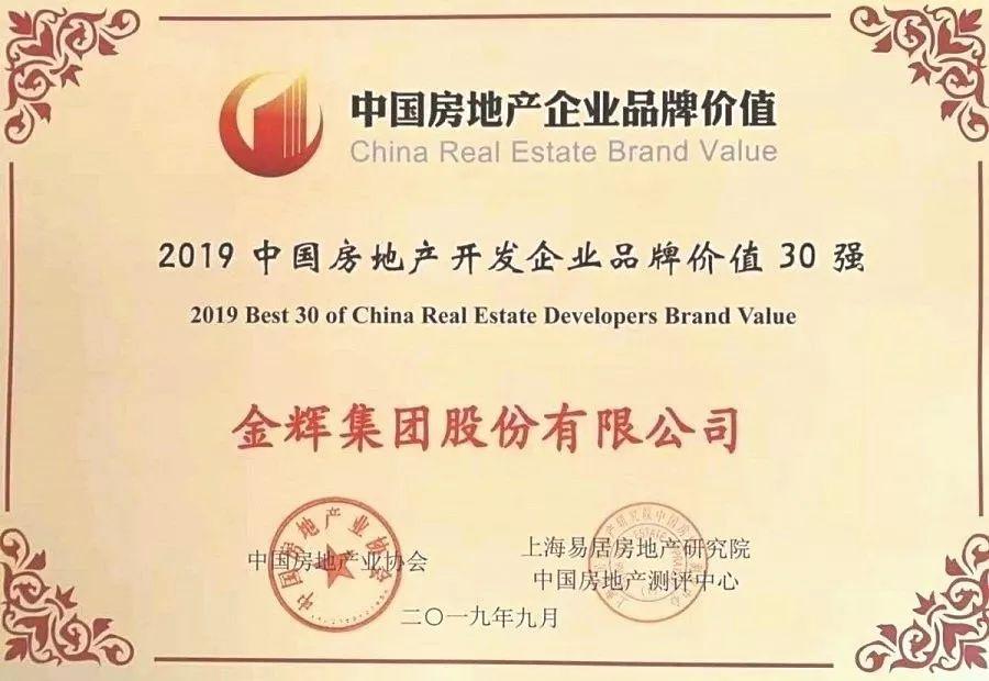 金辉集团股票价值分析,金辉集团业绩