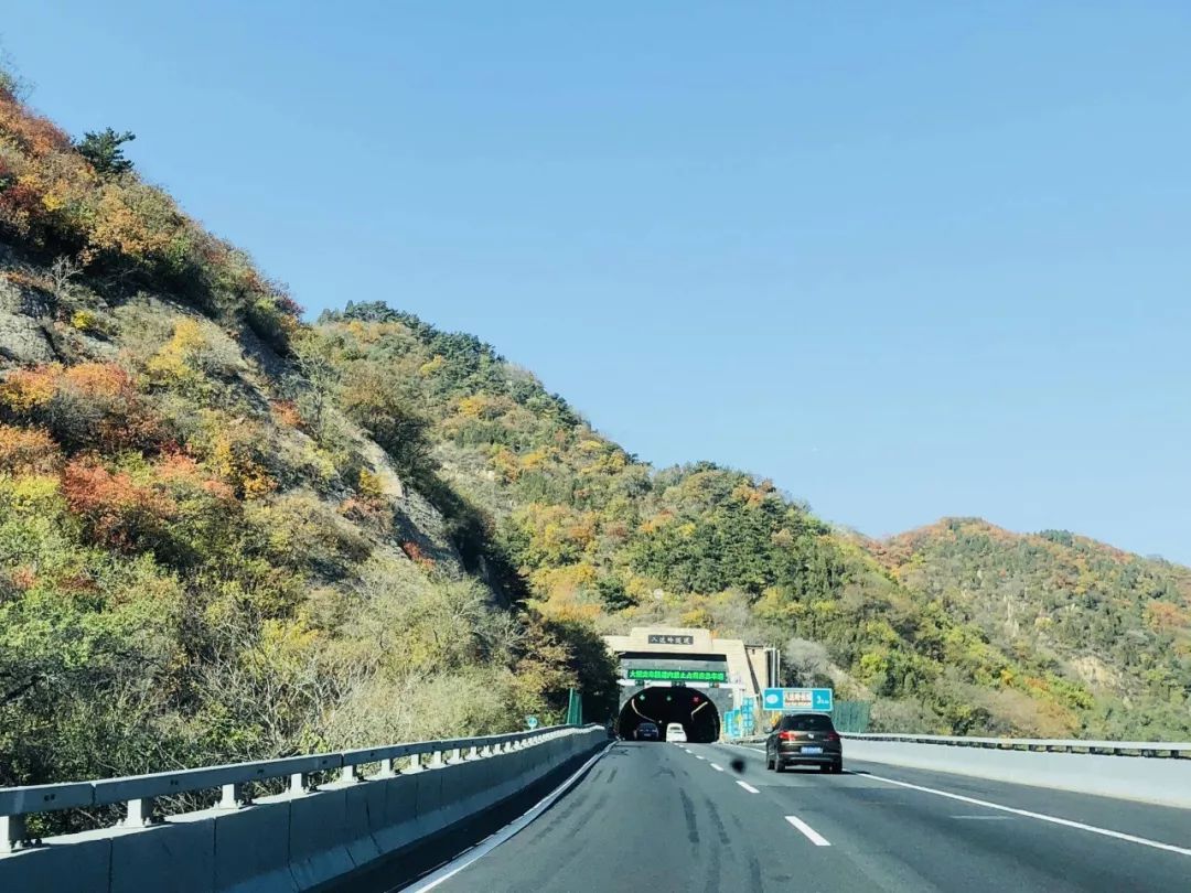 北漂是回家还是继续漂,北漂回家很迷茫