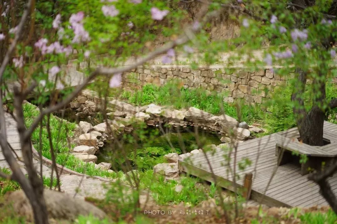 京郊童话树屋,京郊最美童话树屋