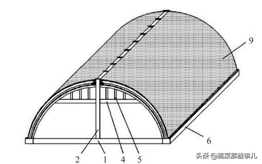 这种大拱棚坚固耐用空间大，保温性好，蔬菜定植早、上市早，黄瓜芹菜周年生产效益高