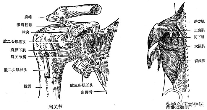 肩周炎冻结肩推拿正骨手法视频,治疗肩周炎最佳推拿手法