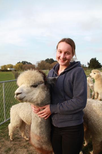 鍛嗚悓棰勮,鍛嗚悓缇婇┘鐢熸皵