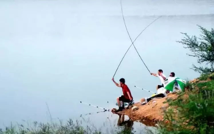 别再天天求秘方了！相同的饵料为什么别人就是钓的更多