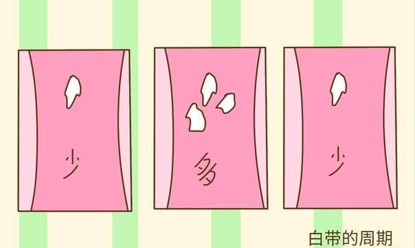 女性妇科常识100条,哪种妇科问题需要清洗