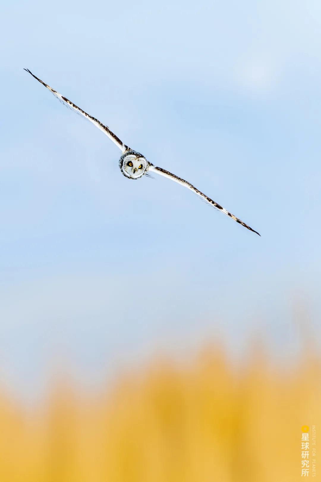 林草领域知识图谱,林草科普专业术语