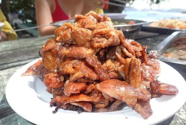 帕劳金色水母,帕劳水母旅行