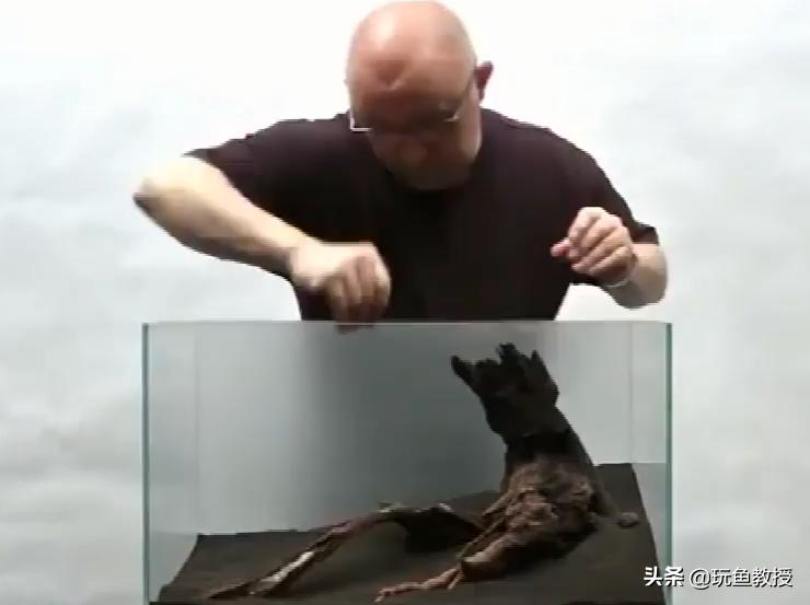 简单草缸制作方法,简单草缸新手入门