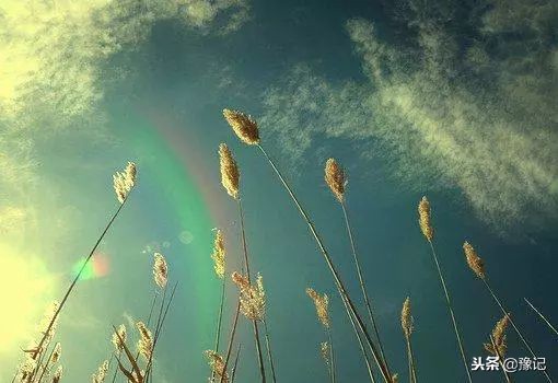 为啥人去世后，要有那么多繁琐的讲究？｜豫记