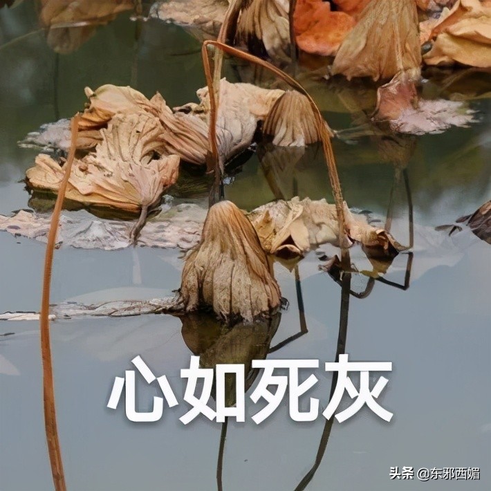 500字作文我真聪明,五篇小作文