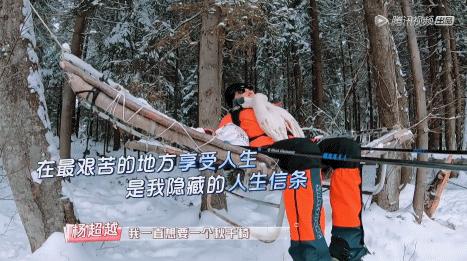 横冲直撞20岁波兰,横冲直撞20岁评价