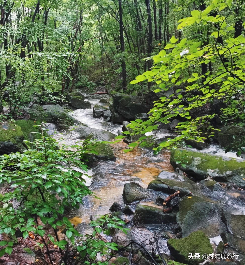 河南境内有山有水不累的景区,河南爬山玩水景点推荐