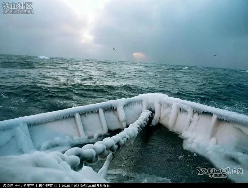 在多伦多吃喝玩乐,加拿大多伦多鱼乐轩大龙虾