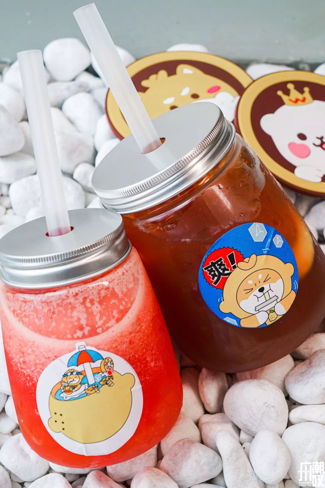 新潮展览+撸狗，广州这家新开的汪星人主题店萌爆了