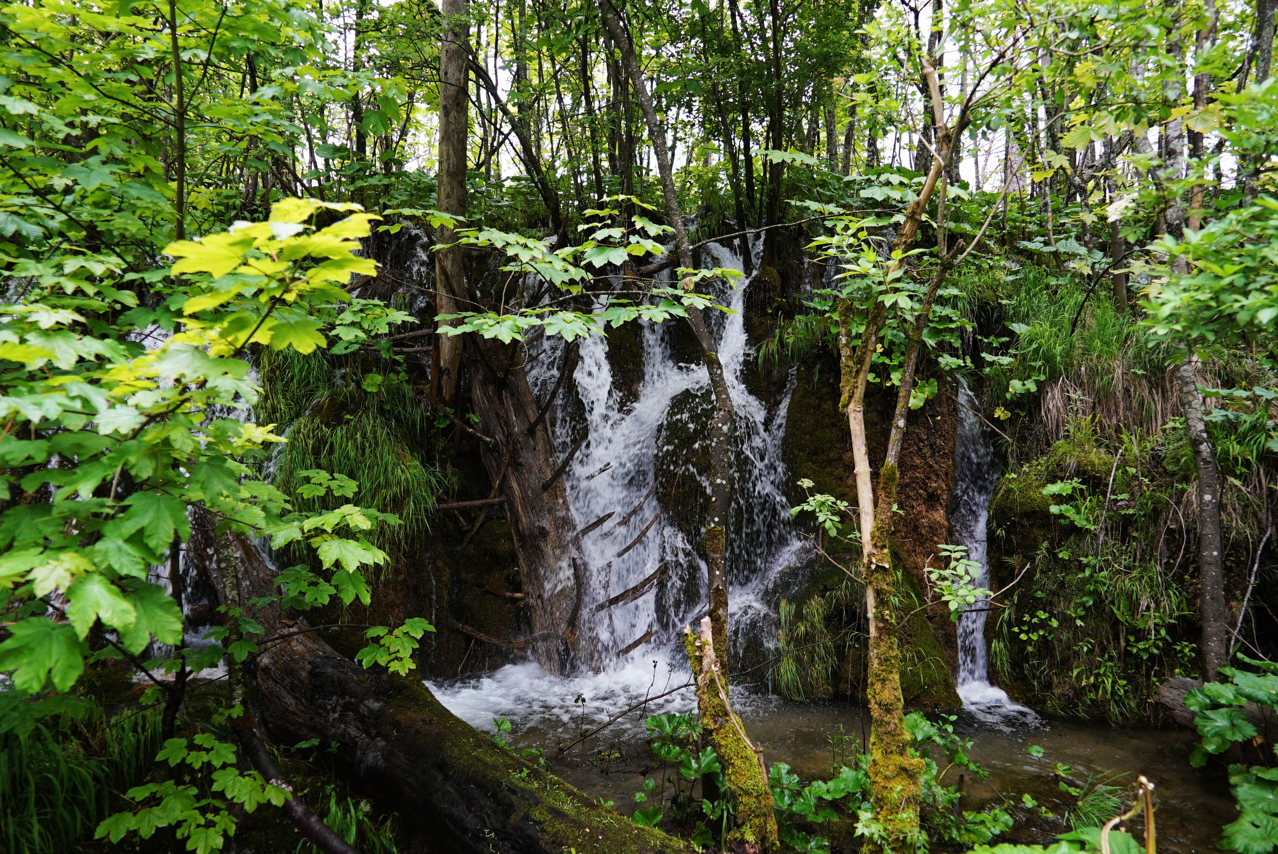克罗地亚十六湖国家公园,克罗地亚十六湖仙境