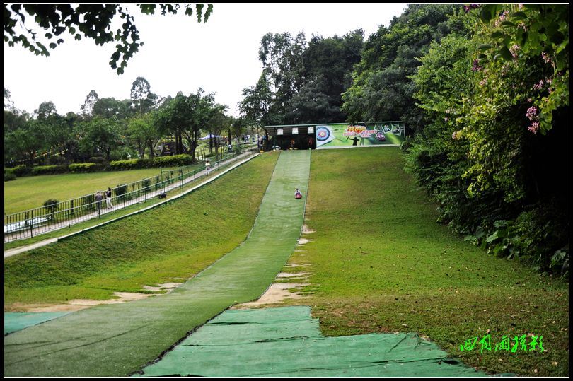 最新白云山风景区攻略,广州白云山野采好去处
