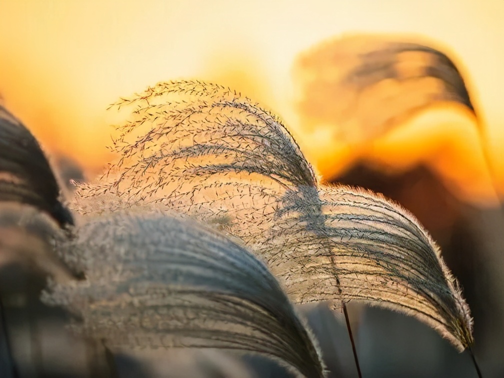 苏州东山西山包吃住农家乐推荐,苏州西山林屋洞附近包吃包住民宿